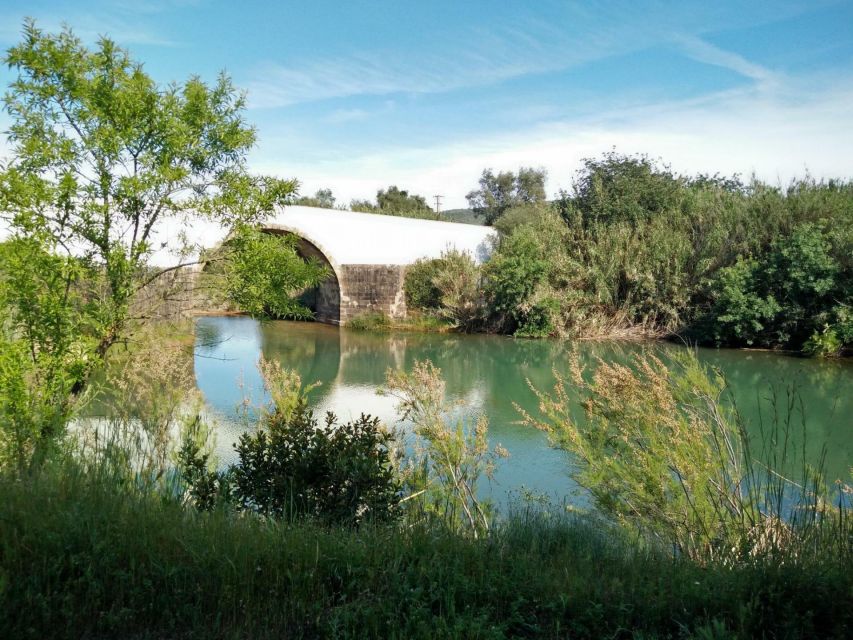Loulé: Quinta da Tôr Winery Guided Tour and Wine Tasting - Getting there from Faro and elsewhere