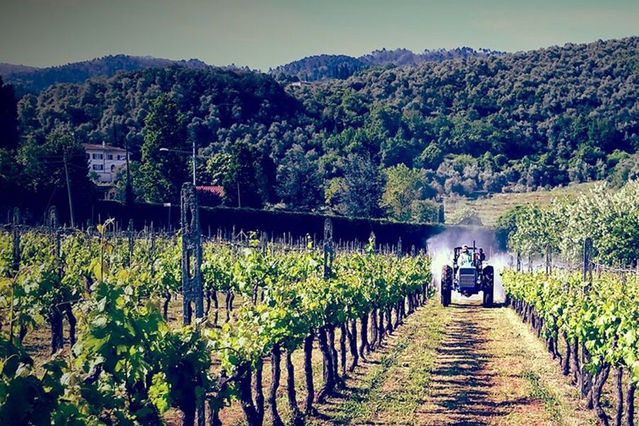 Lucca: Guided E-Bike and Wine Tour - Key points to know before booking