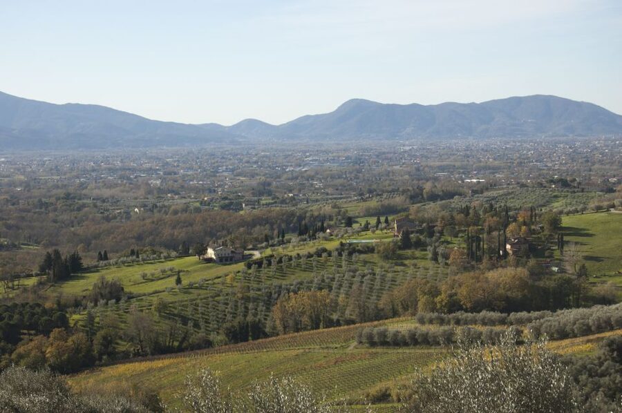 Lucca: Guided E-Bike and Wine Tour - What comes with the wine tasting