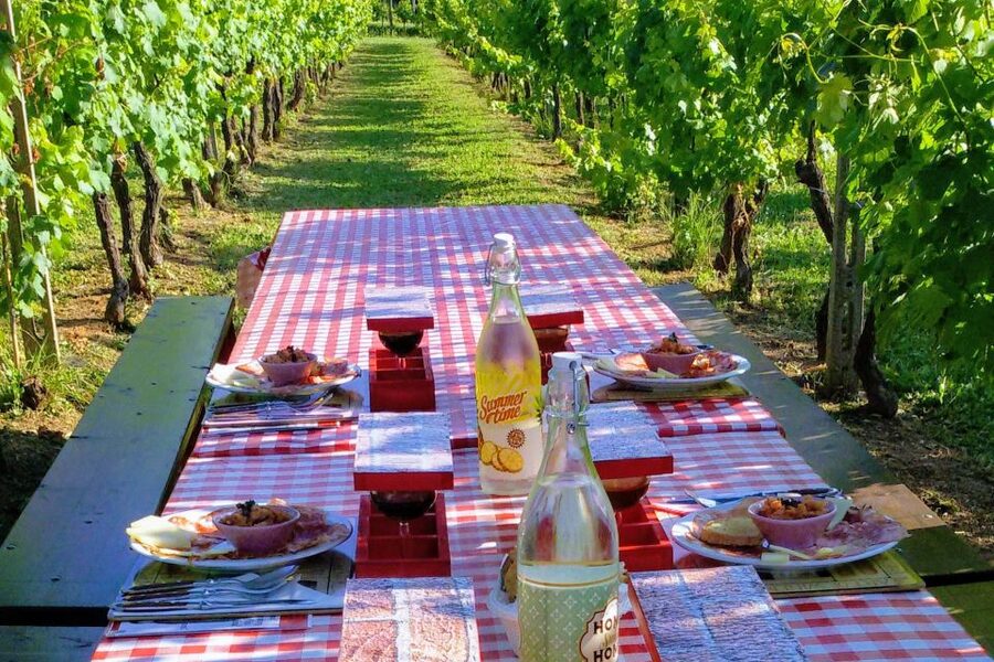 Lucca: Guided E-Bike and Wine Tour - Returning to Lucca by e-bike