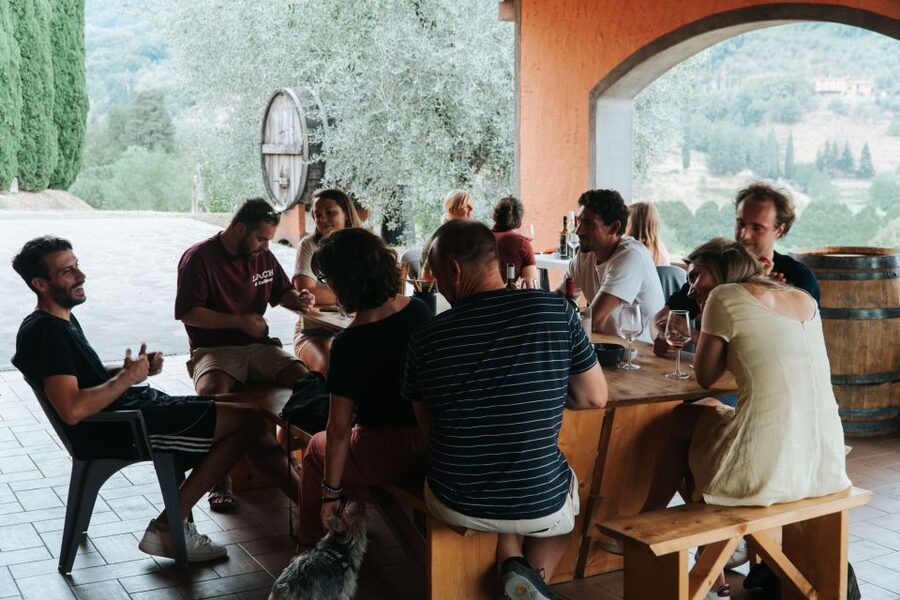 Lucca: Guided Winery Tour with Wine Tasting - Walking among vines and olive trees