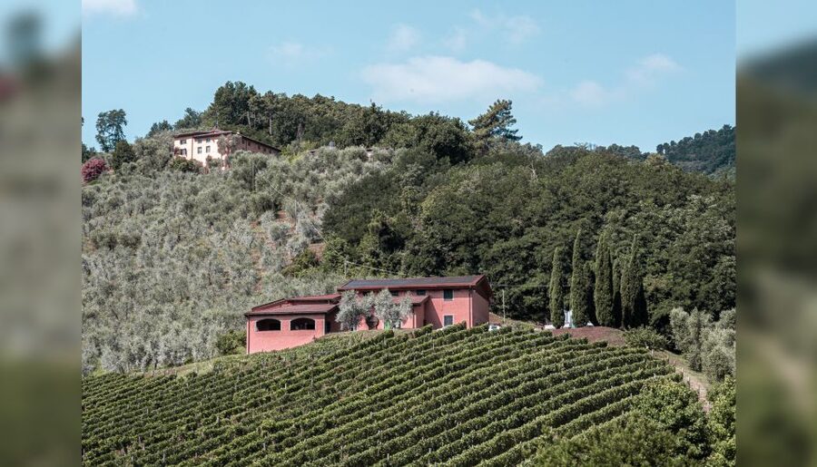 Lucca: Guided Winery Tour with Wine Tasting - The terrace tasting, one glass at a time