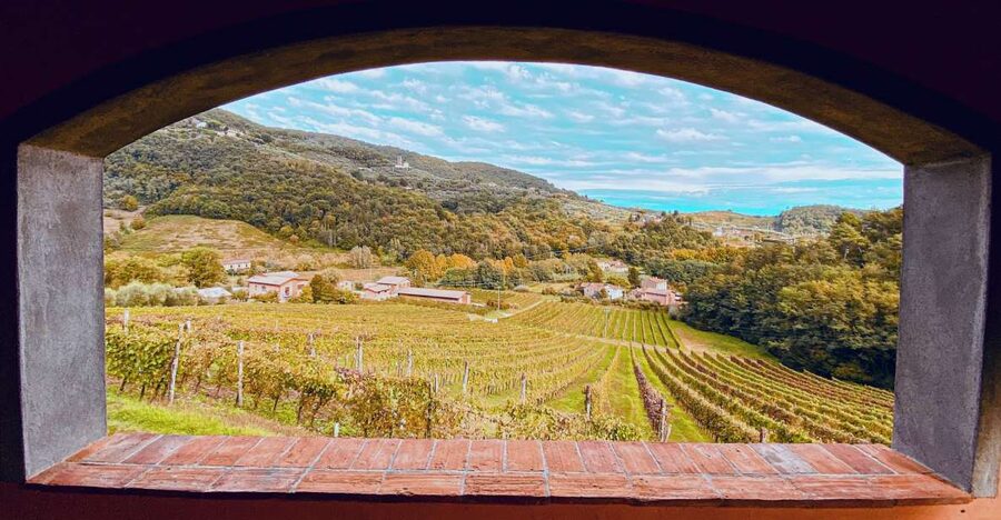 Lucca: Guided Winery Tour with Wine Tasting - Getting to Tenuta Adamo from Lucca