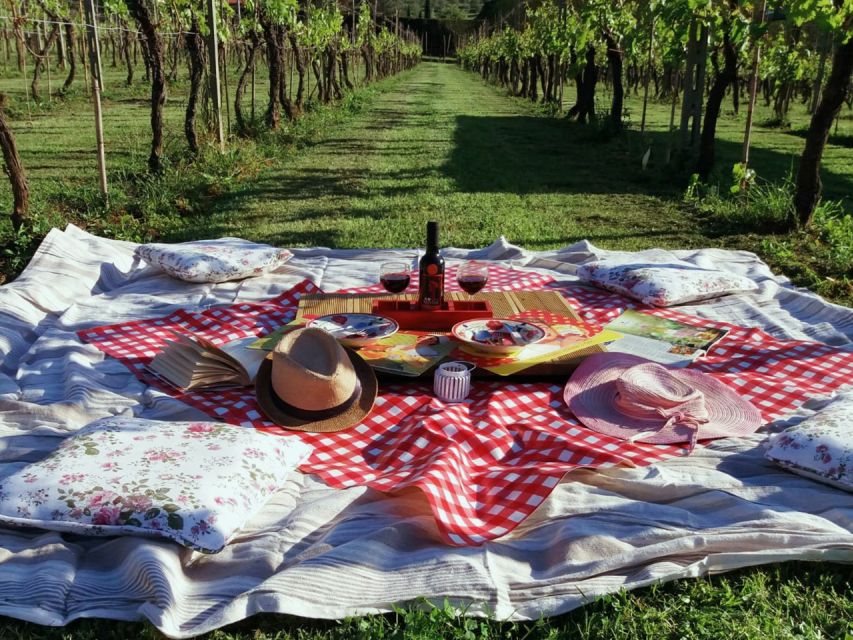 Lucca: Picnic Lunch at a Vineyard by Bike - Key points to know before you book