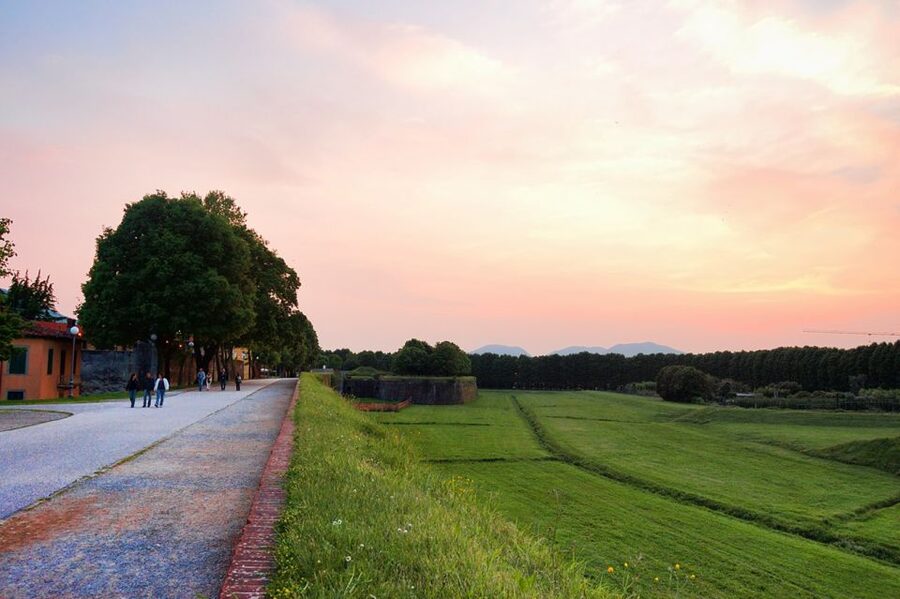 Lucca: Picnic Lunch at a Vineyard by Bike - From Lucca station to the open countryside
