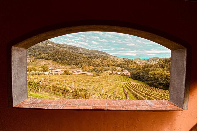 Lucca: Wine Tasting Experience - Tenuta Adamo Winery - Key points to know before booking