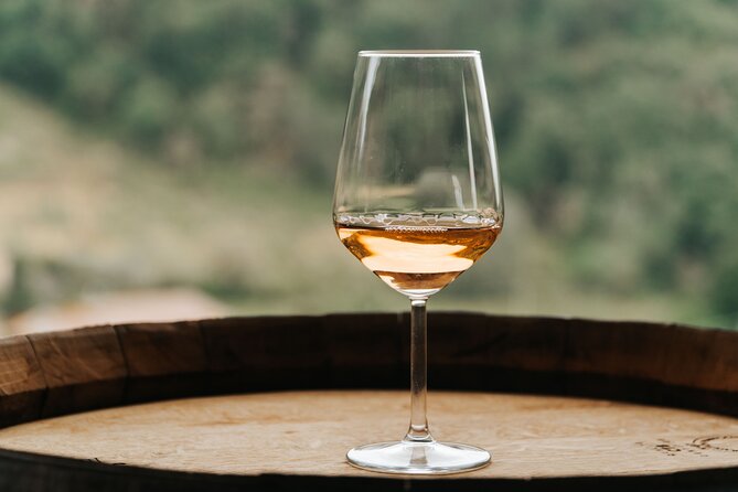 Lucca: Wine Tasting Experience - Tenuta Adamo Winery - Getting there from Lucca
