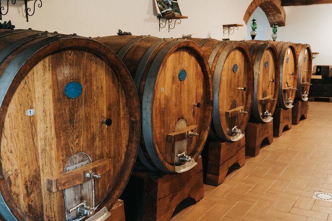 Lucca: Wine Tasting Experience - Tenuta Adamo Winery - Is $24.20 a good deal?