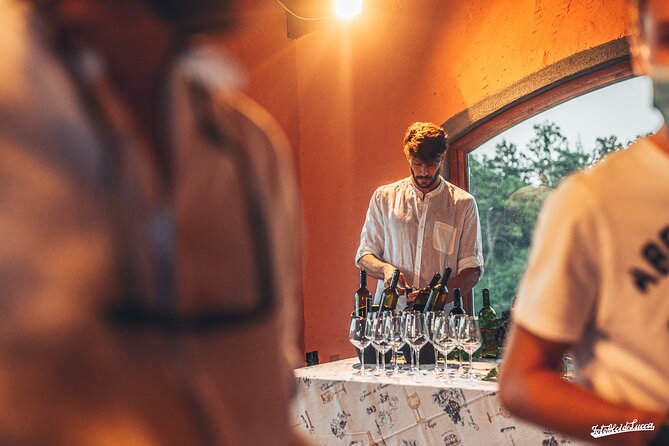 Lucca: Wine Tasting Experience - Tenuta Adamo Winery - Timing, pace, and what to wear