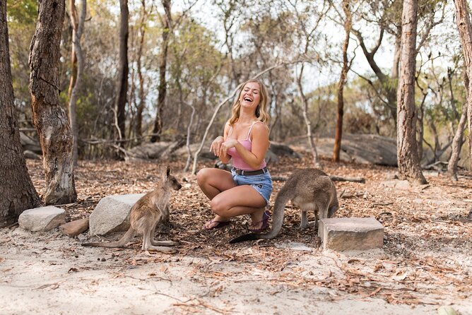 Luxury Hunter Valley Wildlife & Wine Tasting Tour from Sydney - Price, extras, and the real value
