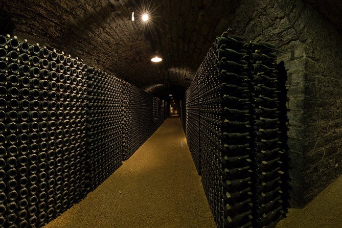 Luxury Luxury Wine Tour Experience - Three estates, three ways to make Burgundy wine
