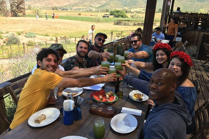 Luxury Private Wine Tasting Tour to Guadalupe Valley from San Diego - Key points at a glance
