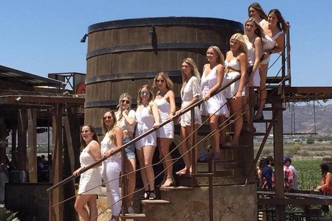 Luxury Private Wine Tasting Tour to Guadalupe Valley from San Diego - Baron Balche and wine with a cheese platter