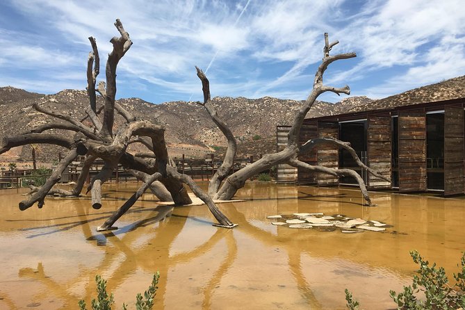 Luxury Private Wine Tasting Tour to Guadalupe Valley from San Diego - Crossing the border without driving yourself