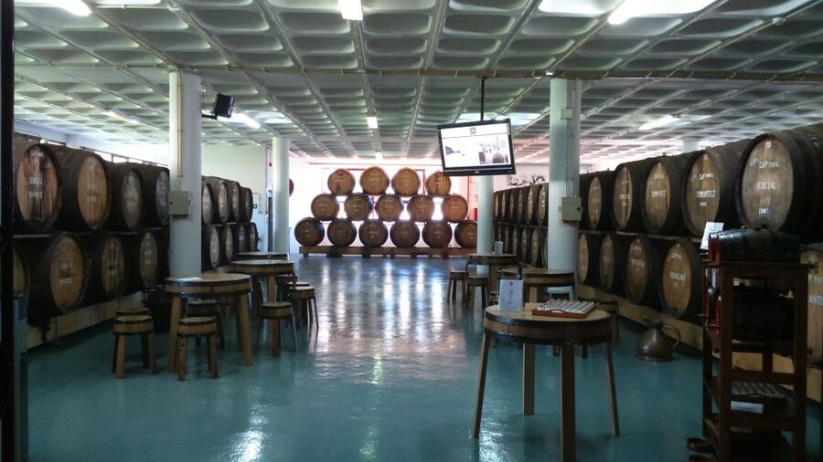 Madeira: Cabo Girao, Jeep Tour Adventure and Wine Tasting - Practical tips before you go