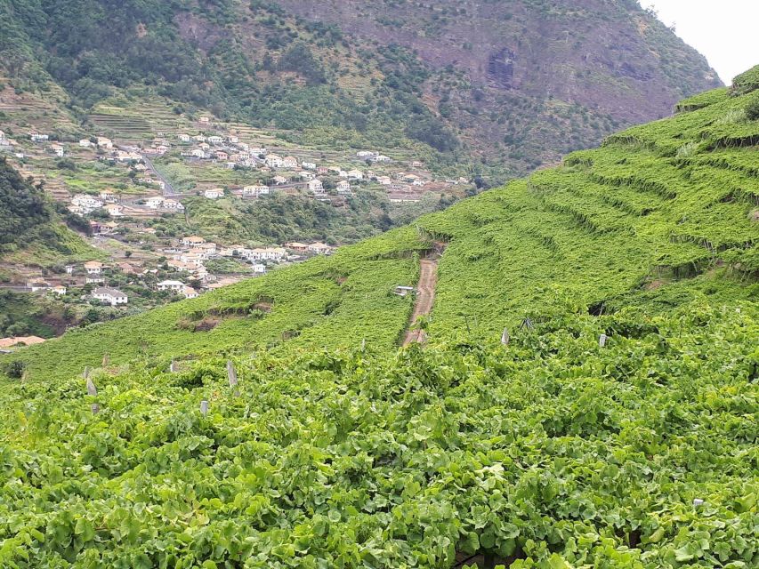 Madeira: Cabo Girão, Wine Tasting, & Serra d'Água Jeep Tour - Serra d’Água and the road into northern Madeira