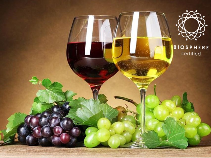 Madeira: Signature Wine Tasting, Skywalk & Nature Expedition - What the small group and vehicle mean
