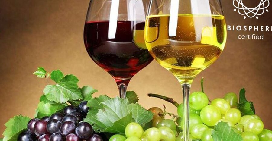 Madeira: Signature Wine Tasting, Skywalk & Nature Expedition - A full day from Funchal into Madeira’s mountains