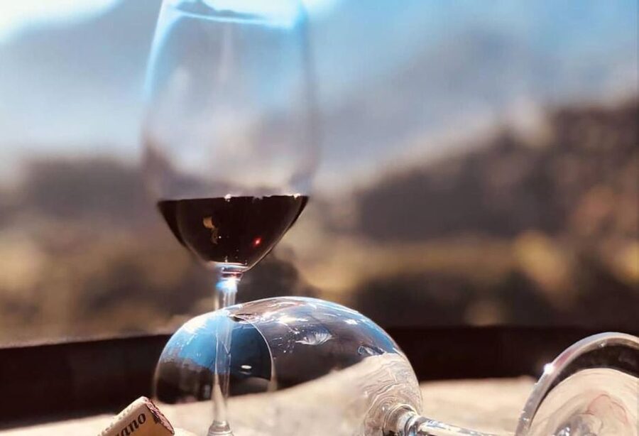 Madeira: Vineyard Tour w/ Wine Tasting & Skywalk - The guide and the drive