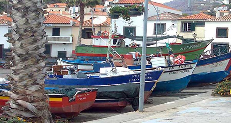Madeira: Vineyard Tour w/ Wine Tasting & Skywalk - Who will enjoy this tour most