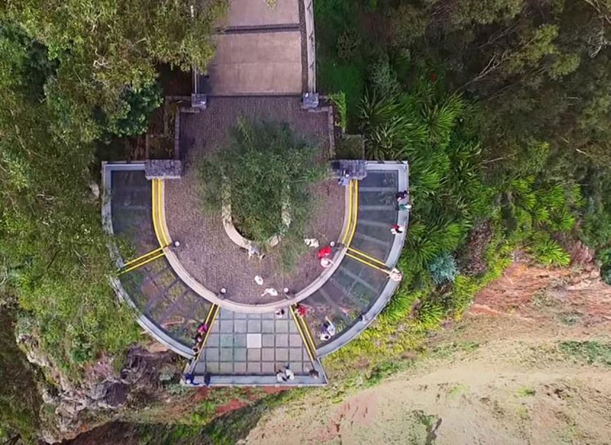 Madeira: Vineyard Tour w/ Wine Tasting & Skywalk - Should you book it?