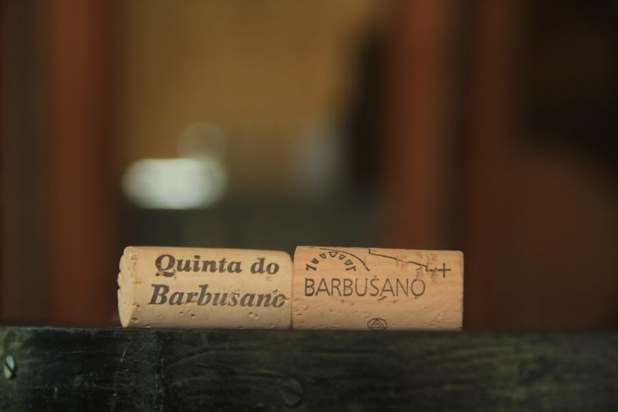 Madeira: Wine & Tapas, Cabo Girão Skywalk 4x4 Jeep Adventure - Who will enjoy this most?