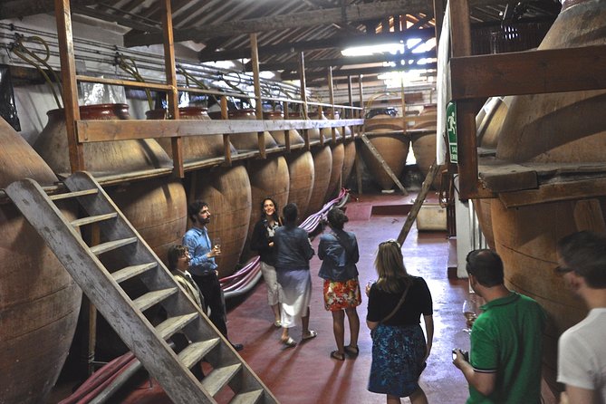 Madrid Countryside Wineries Guided Tour with Wine Tasting - Key points at a glance