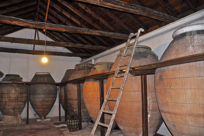 Madrid Countryside Wineries Guided Tour with Wine Tasting - Bodega del Nero and the wine-making story