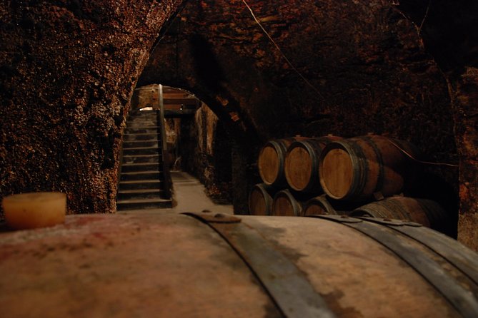 Madrid Countryside Wineries Guided Tour with Wine Tasting - Bodegas Jesús Díaz e Hijos and the old clay jars