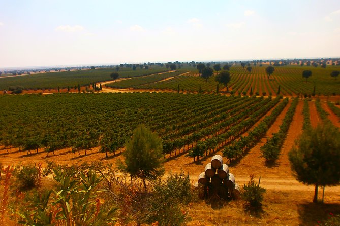 Madrid Countryside Wineries Guided Tour with Wine Tasting - The guides are a major part of the value