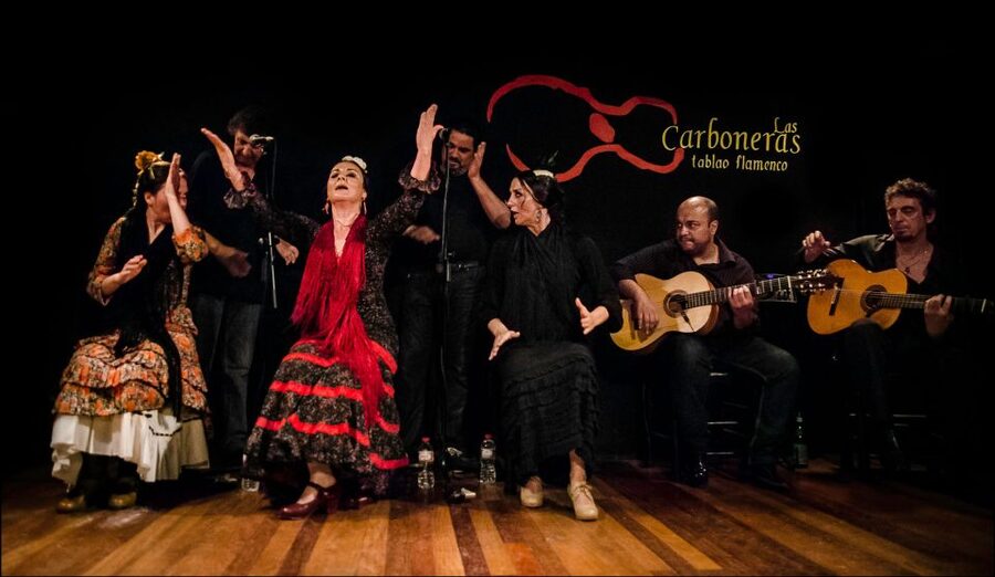 Madrid: Flamenco Show with Tapas and Wine Tour - Who should choose this Madrid evening?