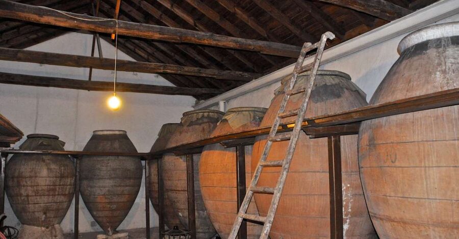 Madrid Region Wineries Guided Tour with Wine Tastings - Key points to know before you book