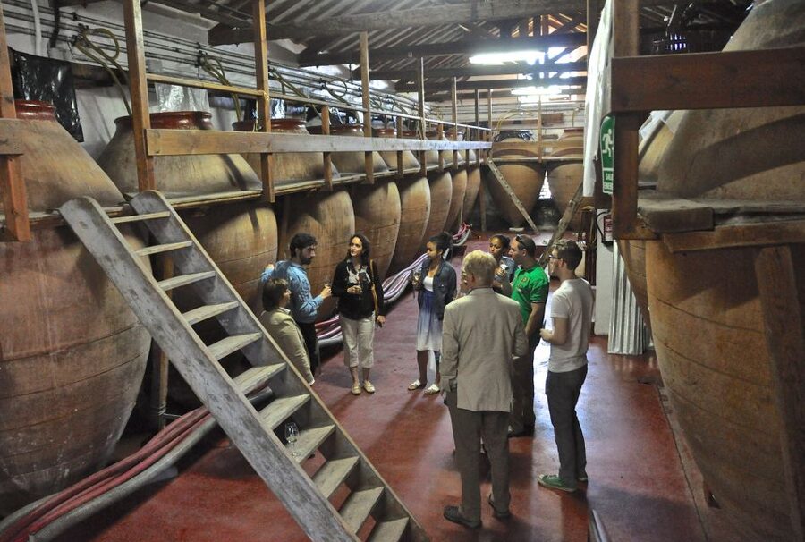Madrid Region Wineries Guided Tour with Wine Tastings - Is $171 a fair price?