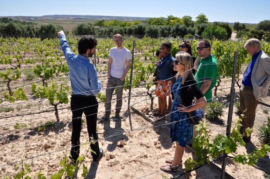 Madrid Region Wineries Guided Tour with Wine Tastings - Leaving Madrid from Plaza del Conde de Casal