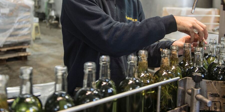 Mahón: Gin Distillery Tour with Tasting & Appetizers - Key points to know before you go