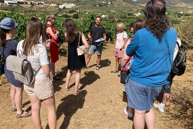 Malaga Organic Vineyard and Winery Six Wines Tapas and Transfer - What makes this Málaga wine tour different