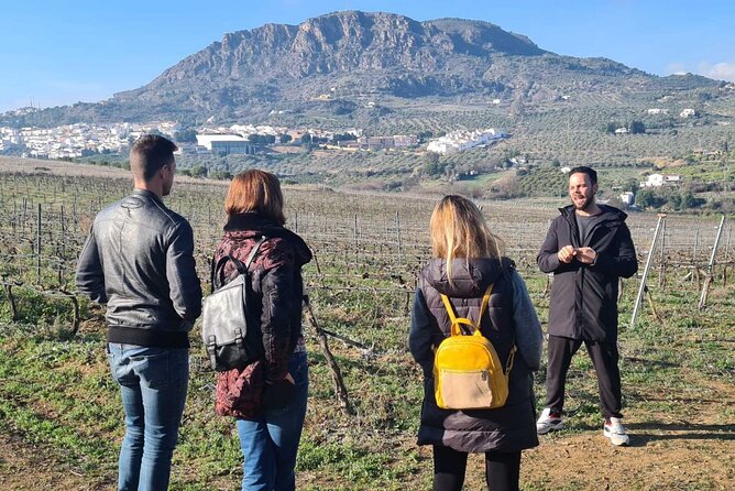 Malaga Organic Vineyard and Winery Six Wines Tapas and Transfer - Tapas that make this a meal