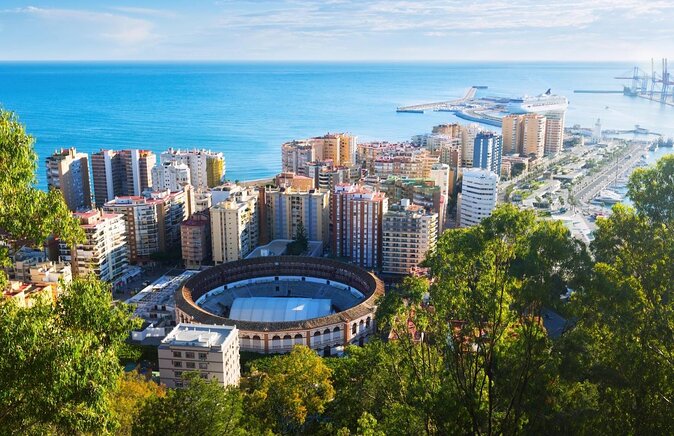Malaga Organic Vineyard and Winery Six Wines Tapas and Transfer - What the strongest praise tells you