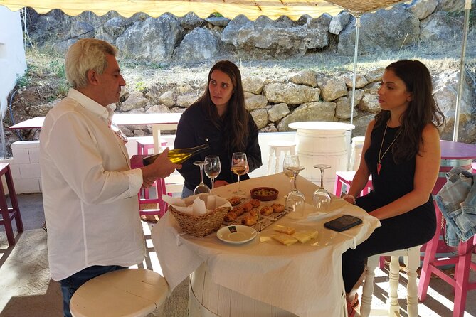 Malaga Organic Vineyard and Winery Six Wines Tapas and Transfer - Who should book it