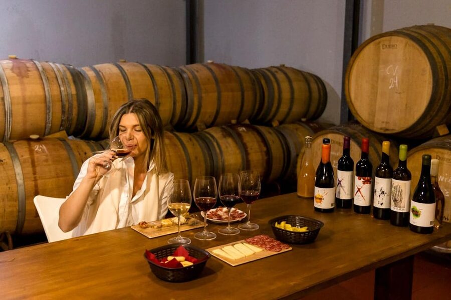 Malaga: Organic Vineyard Tour with 6 Wines, Tapas & Transfer - A small organic estate beyond Malaga