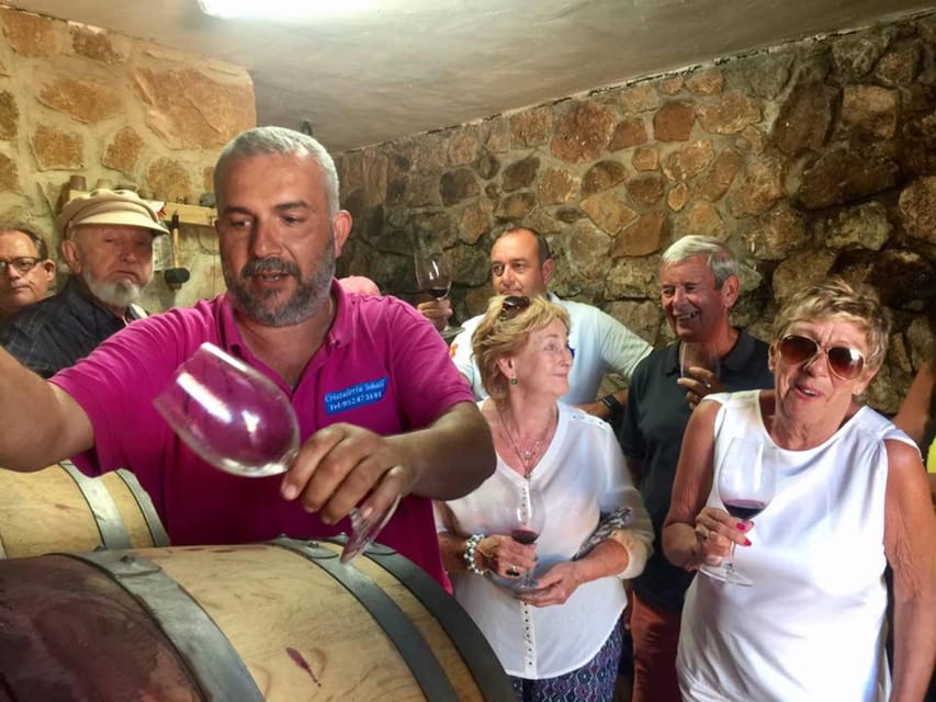 Malaga: Organic Vineyard Tour with 6 Wines, Tapas & Transfer - Why the small group changes the mood