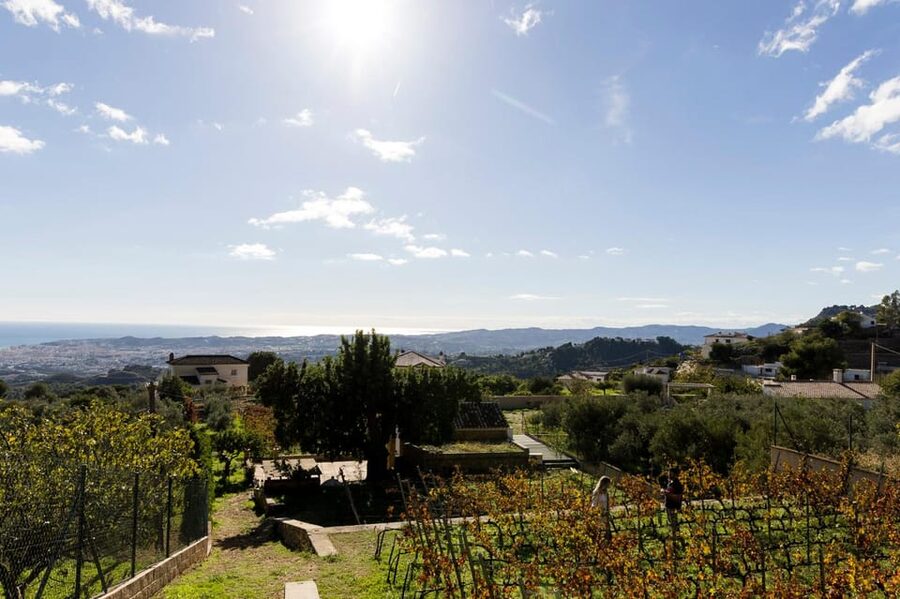 Malaga: Organic Vineyard Tour with 6 Wines, Tapas & Transfer - Should you book the Malvajio wine tour?