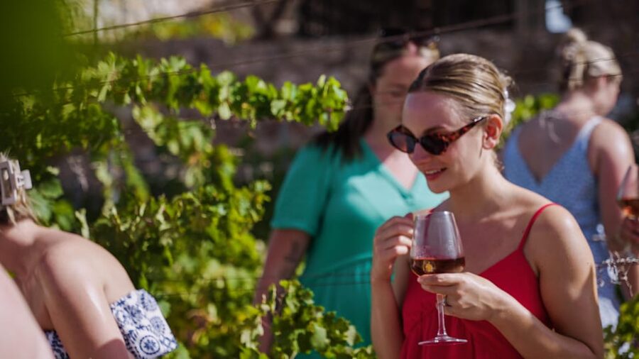 Malaga: Organic Vineyard Tour with 6 Wines, Tapas & Transfer - Viñedo Malvajio and the first glass
