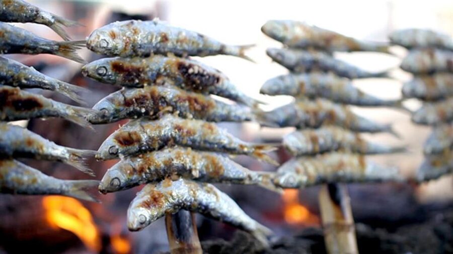 Malaga: PREMIUM TAPAS TOUR Paella, Tapas, Winery & Flamenco - Should you book the Malaga tapas and flamenco tour?