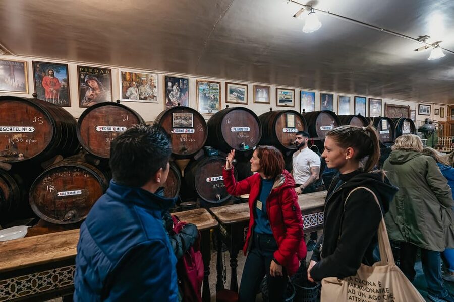 Málaga: Traditional Andalusian Tapas and Wine Tour - Who will get the most from it