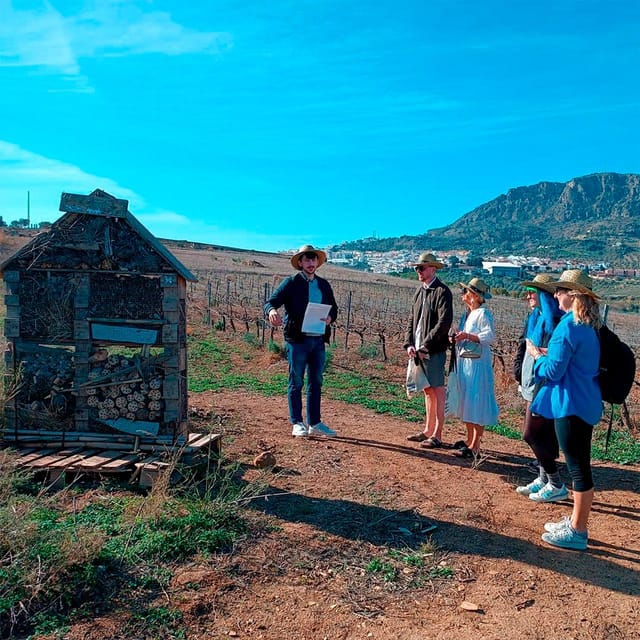 Malaga: White Village, Vineyard, and Wine Tasting Wine Tour - The guide makes the difference in a small group
