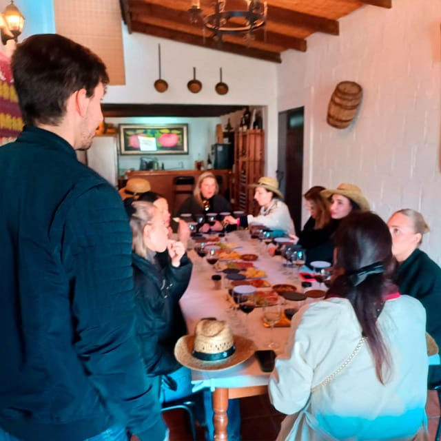 Malaga: White Village, Vineyard, and Wine Tasting Wine Tour - A vineyard walk with views across the countryside