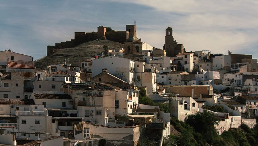 Malaga: White Village, Vineyard, and Wine Tasting Wine Tour - Who will enjoy this Álora wine tour most