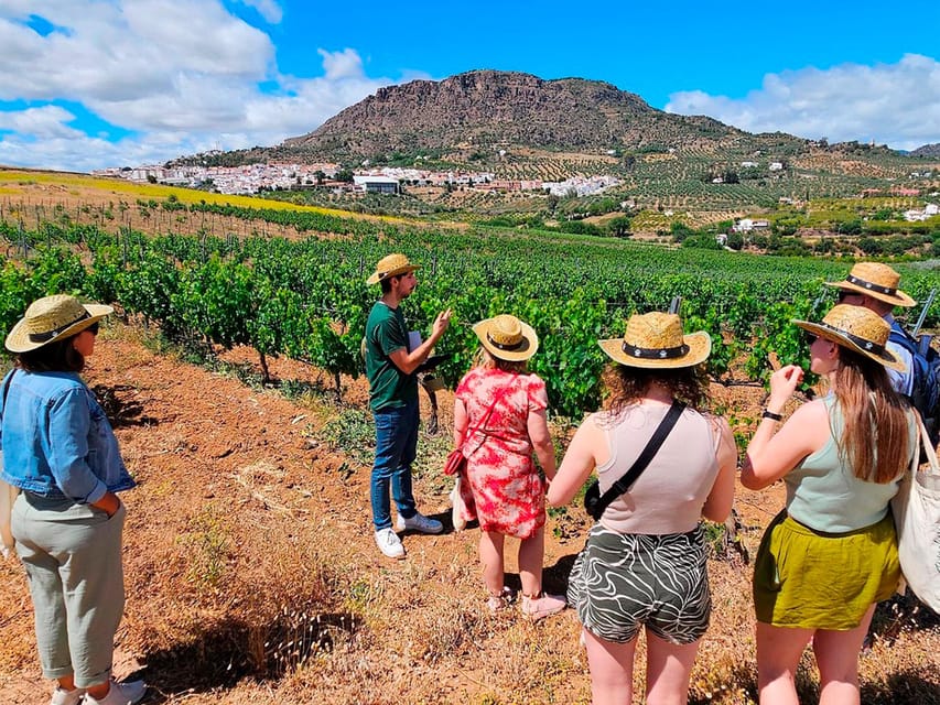 Malaga: White Village, Vineyard, and Wine Tasting Wine Tour - Walking through Álora, from whitewashed streets to castle views