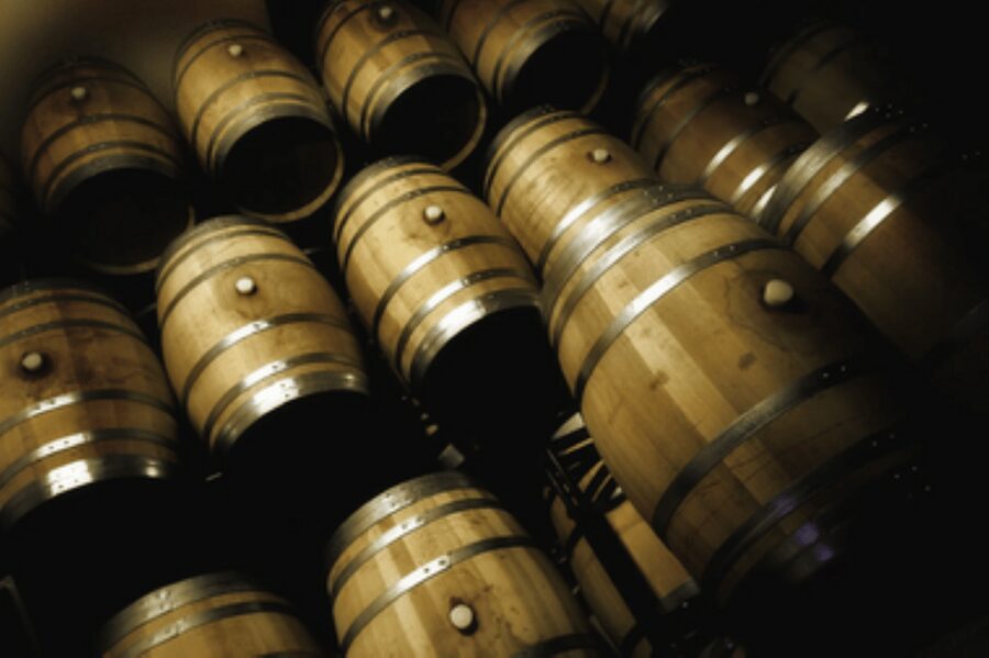 Mallorca: Bodega Butxet Vineyards & Winery Tour with Tasting - A small winery with a strong sense of place